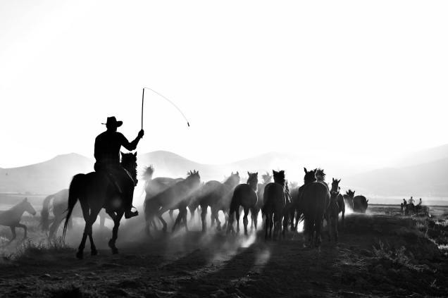 Out in the Wild West